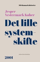 Det lille systemskifte: 2001 - Jesper Vestermark Køber