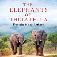 The Elephants of Thula Thula: Finding peace and happiness with the herd - Françoise Malby-Anthony