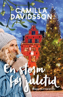 En storm før juletid - Camilla Davidsson