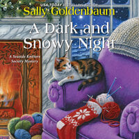 A Dark and Snowy Night - Sally Goldenbaum