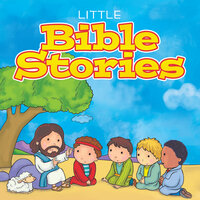 Little Bible Stories - Various