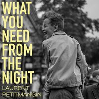 What You Need From The Night - Laurent Petitmangin