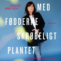 Med fødderne skrøbeligt plantet: rejs dig efter skilsmissen - Christina Nørby Ibsen
