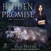 Hidden Promise - Julie Trettel