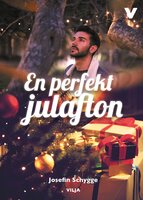 En perfekt julafton - Josefine Schygge