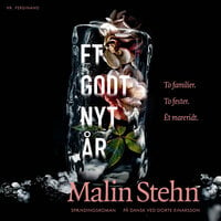 Et godt nyt år - Malin Stehn