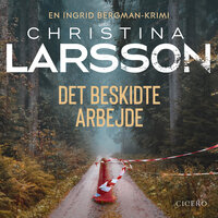 Det beskidte arbejde - 2 - Christina Larsson