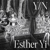 Y/N: A Novel - Esther Yi