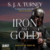 Iron and Gold: Wolves of Odin Book 3 - S. J. A. Turney