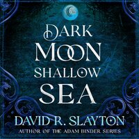 Dark Moon, Shallow Sea - David R. Slayton