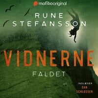 Faldet - Rune Stefansson