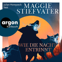 Wie die Nacht entrinnt - Dreamer-Trilogie, Band 3 (Ungekürzte Lesung) - Maggie Stiefvater