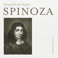 Spinoza - Svend Erik Stybe