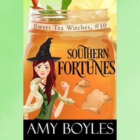 Southern Fortunes - Amy Boyles
