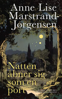Natten åbner sig som en port: Roman over Det Nye Testamente - Anne Lise Marstrand-Jørgensen
