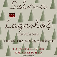 Dunungen og Tøsen fra Stormyrhuset - Selma Lagerlöf