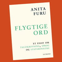 Flygtige ord: Et essay om taleskrivning, sprog og statsministre - Anita Furu