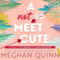 A Not So Meet Cute - Meghan Quinn