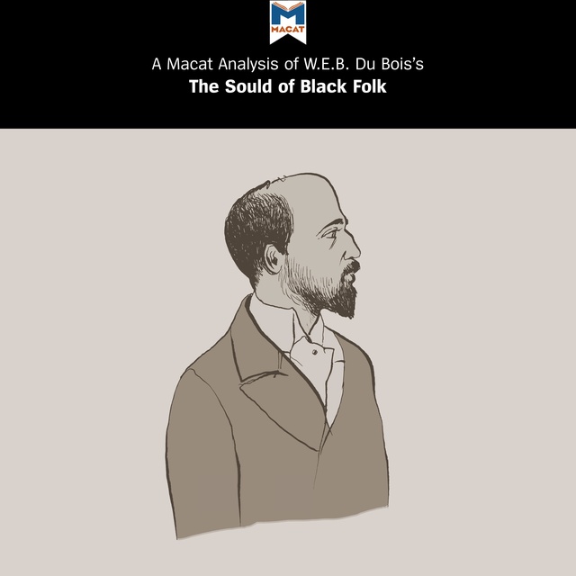 the souls of black folk book review