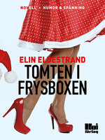 Tomten i frysboxen - Elin Eldestrand