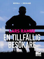 En tillfällig besökare - Lars Rambe