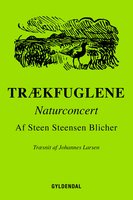 Trækfuglene: Naturconcert - Steen Steensen Blicher
