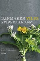 Danmarks vilde spiseplanter - Birgit Kristiansen