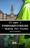 13 Uger i Tvangsaktivering: Dagbog fra Slusen - Anne Rosengård