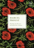Madame de Breyves melankoliska sommar - Marcel Proust