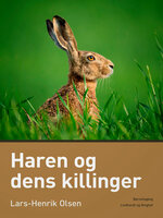 Haren og dens killinger - Lars-Henrik Olsen
