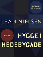 Hygge i Hedebygade - Lean Nielsen