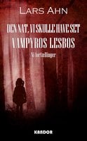 Den nat vi skulle have set Vampyros Lesbos: Ni fortællinger - Lars Ahn