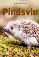 Pindsvin - Per Straarup Søndergaard