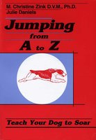JUMPING FROM A TO Z - Chris Zink, Julie Daniels