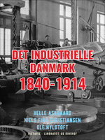 Det industrielle Danmark 1840-1914 - Niels Finn Christiansen, Helle Askgaard, Ole Hyldtoft