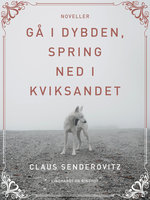 Gå i dybden, spring ned i kviksandet - Claus Senderovitz