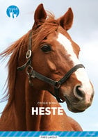 Heste, Blå Fagklub - Cecilie Bogh