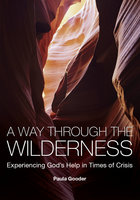 A Way Through the Wilderness: Experiencing God's Help in Times of Crisis - Paula Gooder