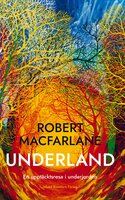 Underland : en upptäcktsresa i underjorden - Robert Macfarlane