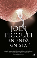 En enda gnista - Jodi Picoult