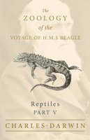 Reptiles - Part V - The Zoology of the Voyage of H.M.S Beagle: Under the Command of Captain Fitzroy - During the Years 1832 to 1836 - Thomas Bell, Charles Darwin