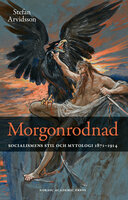Morgonrodnad: Socialismens stil och mytologi 1871-1914 - Stefan Arvidsson