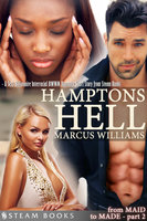 Hamptons Hell - A Sexy Billionaire Interracial BWWM Romance Short Story from Steam Books - Marcus Williams, Steam Books