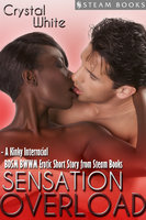 Sensation Overload - A Kinky Interracial BDSM BWWM Erotic Short Story from Steam Books - Steam Books, Crystal White