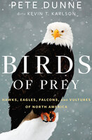 Birds of Prey: Hawks, Eagles, Falcons, and Vultures of North America - Pete Dunne, Kevin T. Karlson