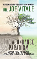 The Abundance Paradigm - Joe Vitale