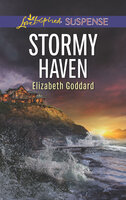 Stormy Haven - Elizabeth Goddard