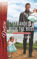 Stranded with the Boss - Elizabeth Lane