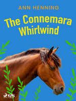 The Connemara Whirlwind - Ann Henning