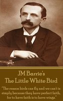 The Little White Bird: “The reason birds can fly and we can't is simply because they have perfect faith, for to have faith is to have wings.” - JM Barrie